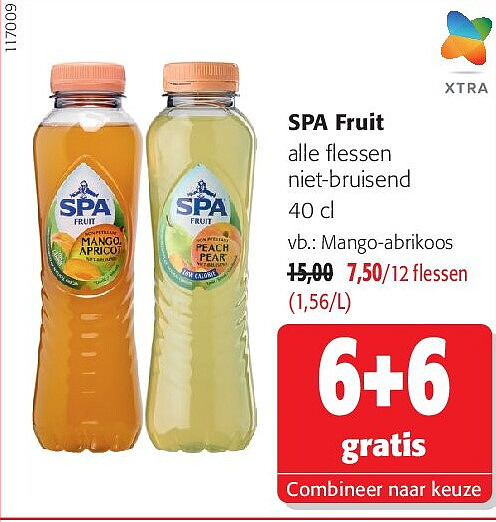 SPA Fruit alle flessen niet-bruisend 40 cl