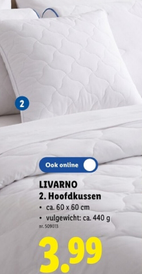 Hoofdkussen