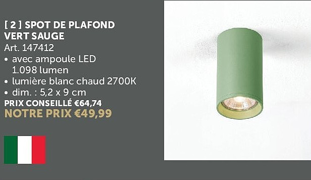 SPOT DE PLAFOND VERT SAUGE