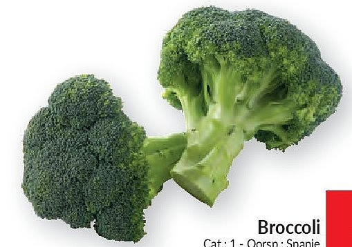 Broccoli