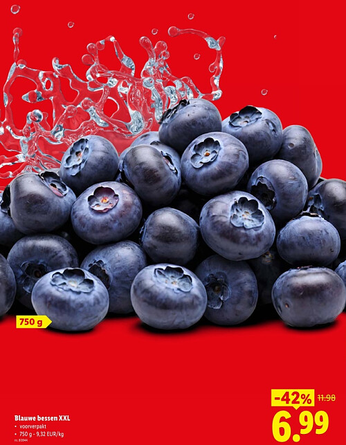 Blauwe bessen XXL