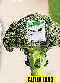 BIO+ broccoli