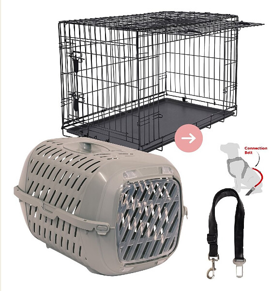 Veilig en comfortabel onderweg met je dier