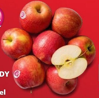 PINK LADY Tafeläpfel
