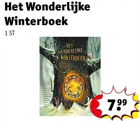 Het Wonderlijke Winterboek
