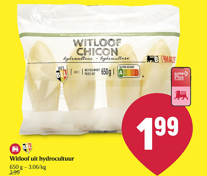 Witloof uit hydrocultuur