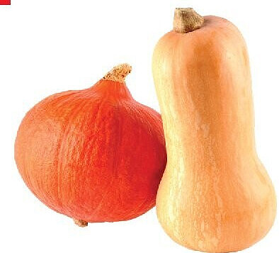 Courge spaghetti, potimarron ou butternut