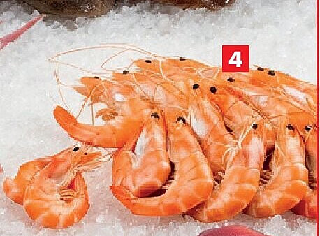 Gekookte roze garnalen