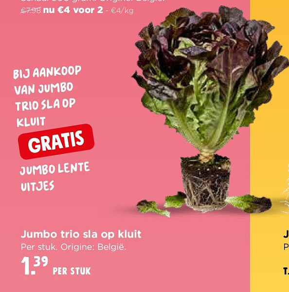 Jumbo trio sla op kluit