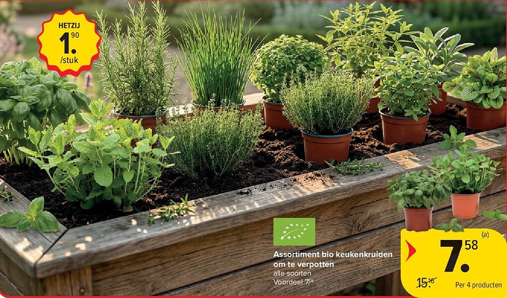 Assortiment bio keukenkruiden om te verpotten