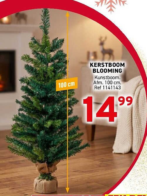 Kerstboom Blooming