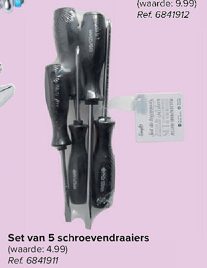 Set van 5 schroevendraaiers