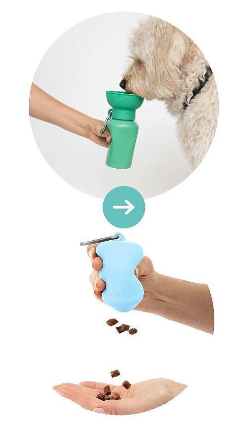 Veilig en comfortabel onderweg met je dier