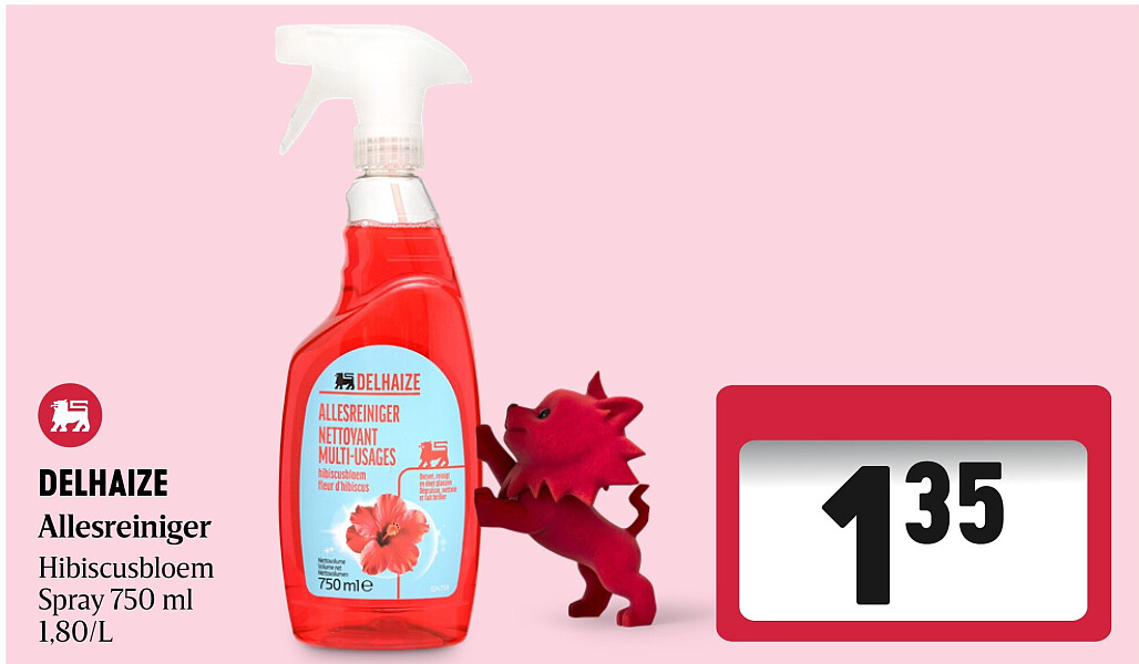 DELHAIZE Allesreiniger