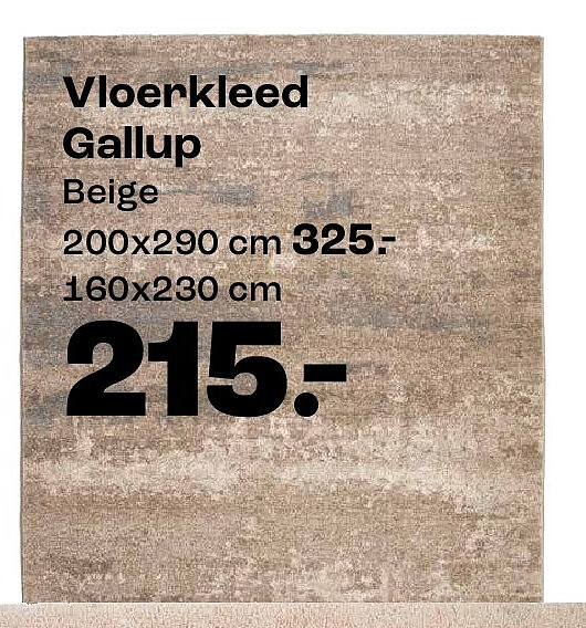 Vloerkleed Gallup 200x290 cm
