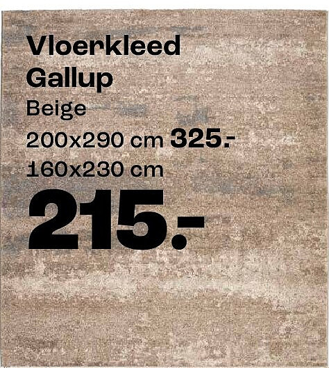 Vloerkleed Gallup 160x230 cm