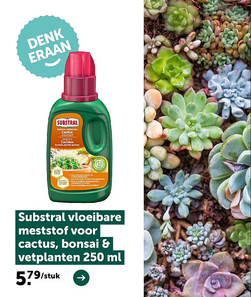 Substral vloeibare meststof voor cactus, bonsai & vetplanten 250 ml