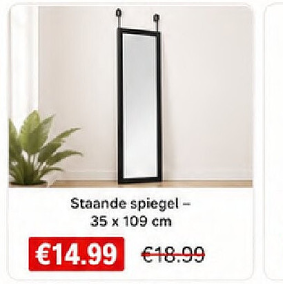 Staande spiegel - 35 x 109 cm