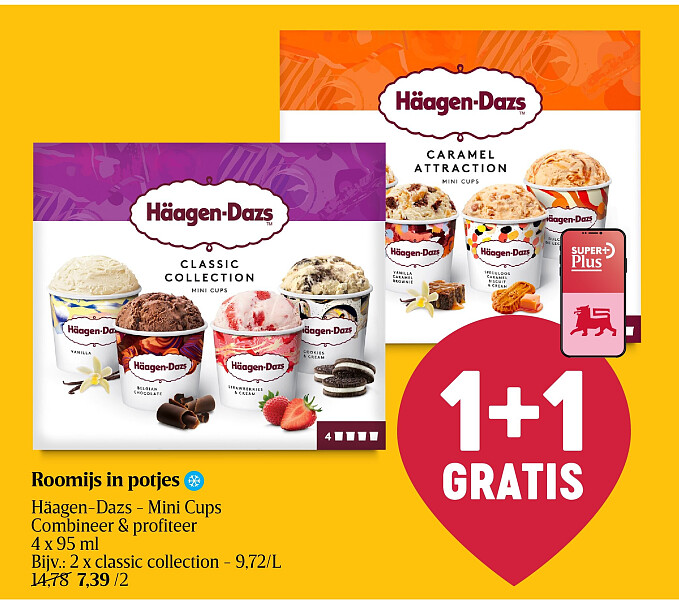 Roomijs in potjes