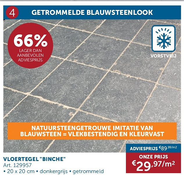 VLOERTEGEL "BINCHE"