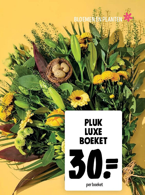PLUK luxe boeket