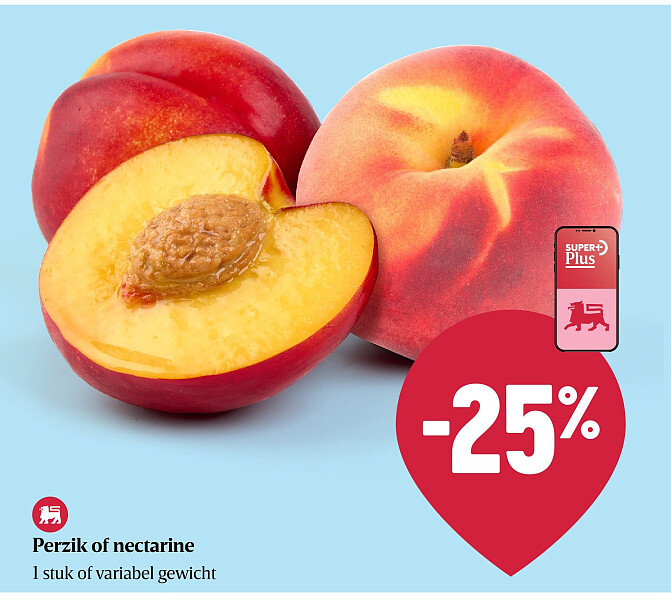 Perzik of nectarine