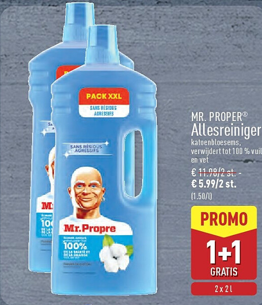 Allesreiniger