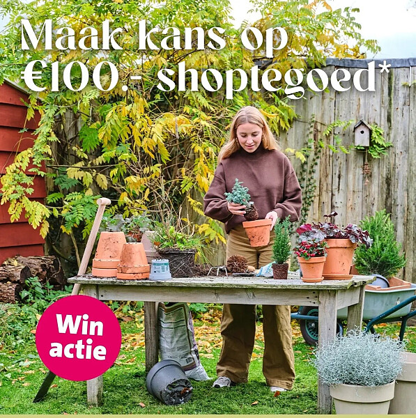 Tuinplanten