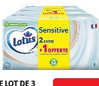 Boîtes de mouchoirs Lotus, lot de 3