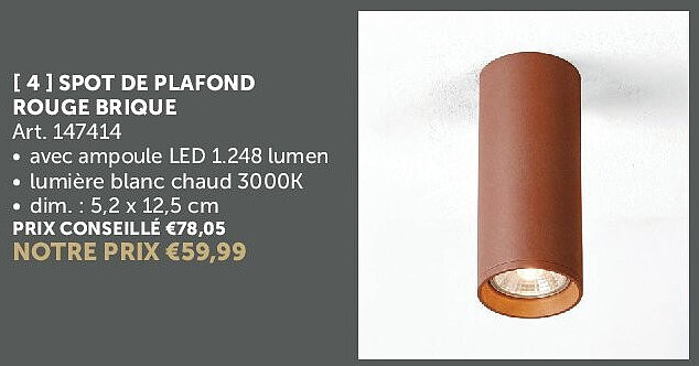 SPOT DE PLAFOND ROUGE BRIQUE