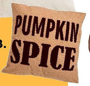 Kussen Pumpkin Spice 45x45 cm