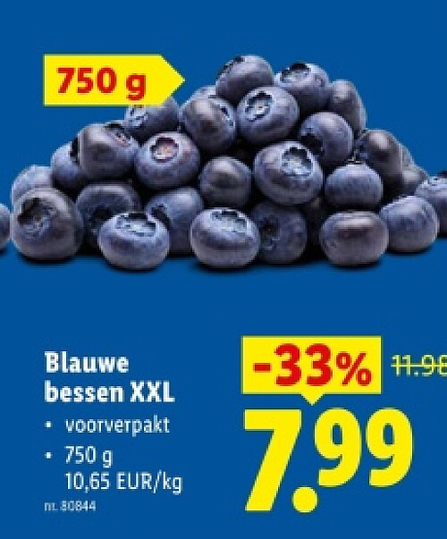 Blauwe bessen XXL