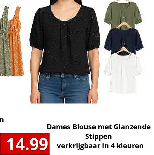 Dames Blouse met Glanzende Stippen verkrijgbaar in 4 kleuren