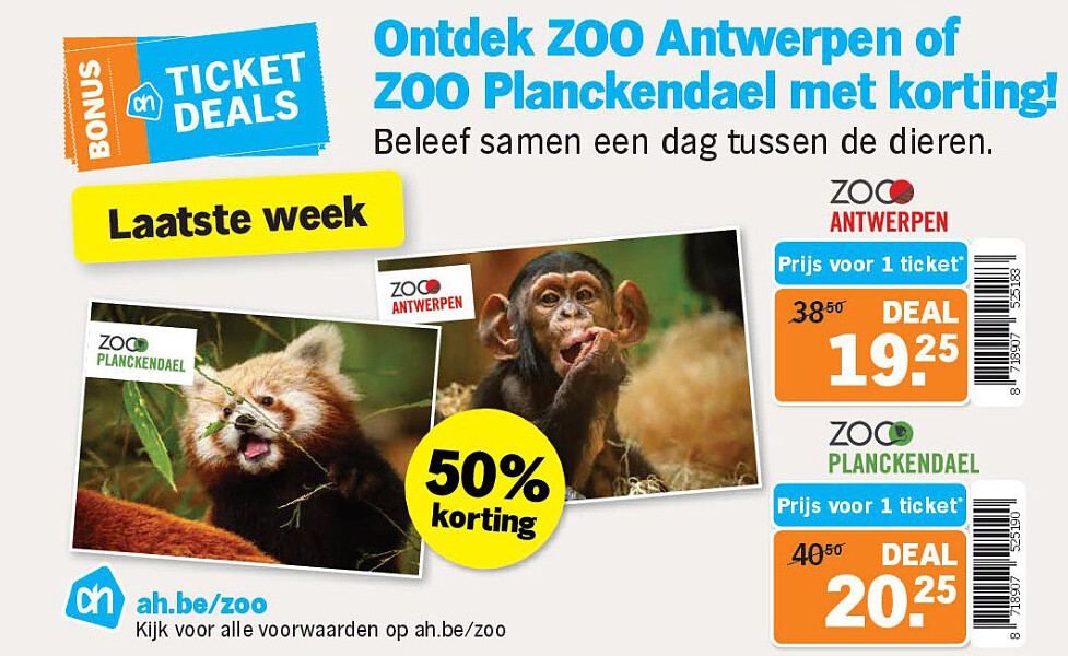 Ontdek ZOO Antwerpen of ZOO Planckendael met korting!