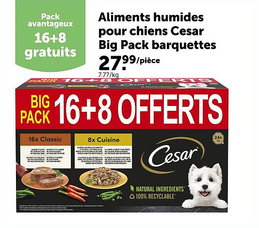 Aliments humides pour chiens Cesar Big Pack barquettes