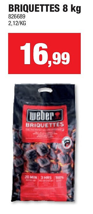 BRIQUETTES 8 kg