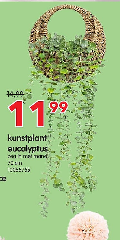 kunstplant eucalyptus