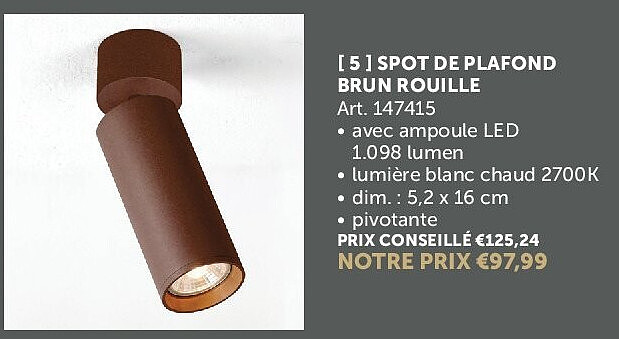 SPOT DE PLAFOND BRUN ROUILLE