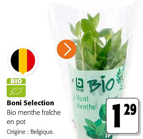Boni Selection Bio menthe fraîche en pot