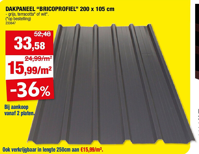 DAKPANEEL “BRICOPROFIEL” 200 x 105 cm
