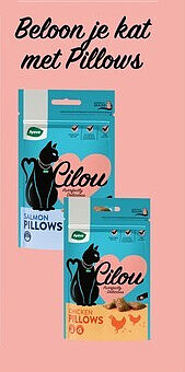 Beloon je kat met Pillows