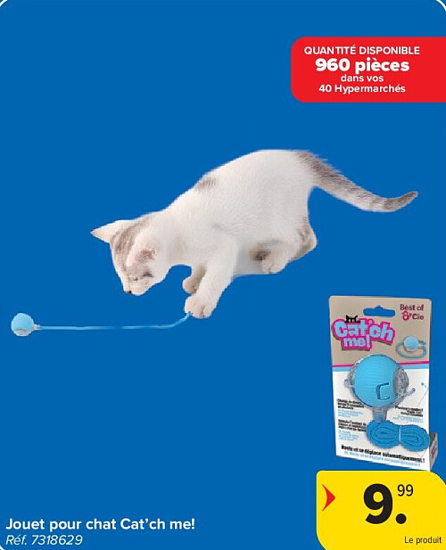 Jouet pour chat Cat’ch me!