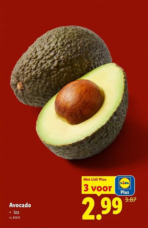 Avocado