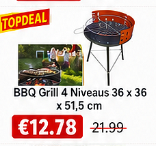 BBQ Grill 4 Niveaus 36 x 36 x 51,5 cm