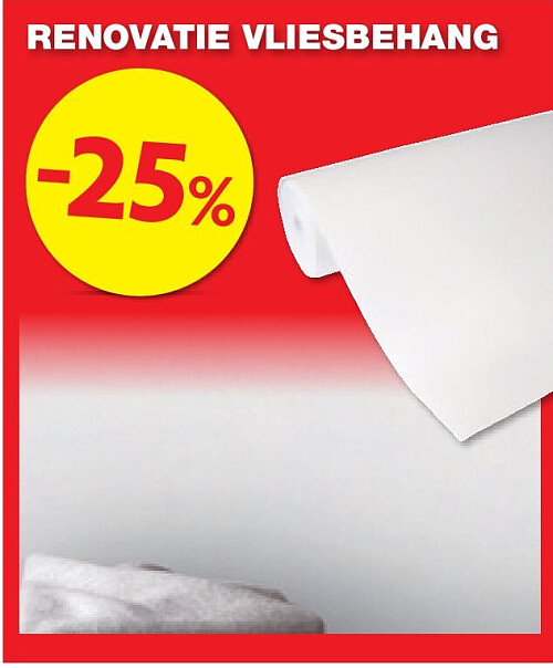 RENOVATIE VLIESBEHANG