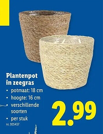 Plantenpot in zeegras