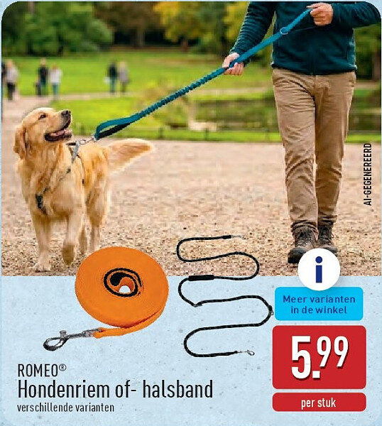 Hondenriem of-halsband
