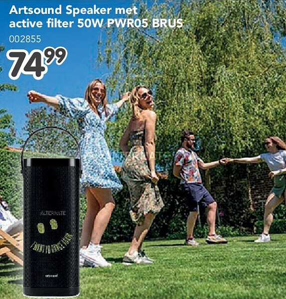 Artsound Speaker met active filter 50W PWR05 BRUS