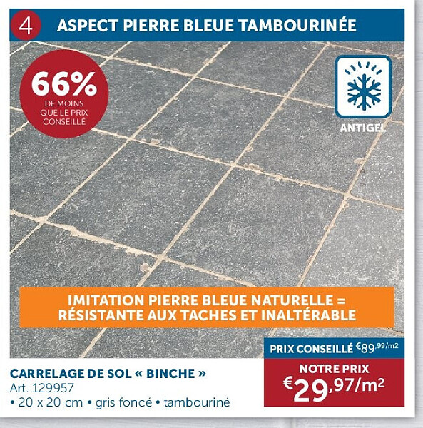 CARRELAGE DE SOL « BINCHE »