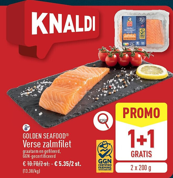 Verse zalmfilet